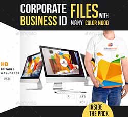 完整的通用型企业VIS手册：Corporate Business ID